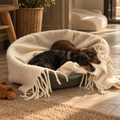 DOG BED